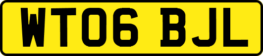 WT06BJL