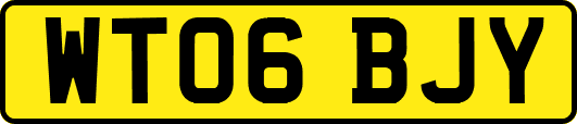 WT06BJY