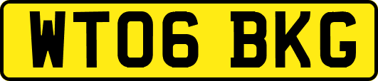 WT06BKG