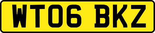 WT06BKZ