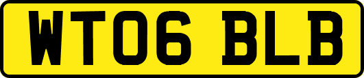 WT06BLB