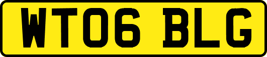 WT06BLG