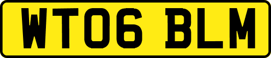 WT06BLM