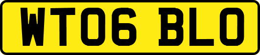 WT06BLO