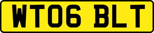 WT06BLT