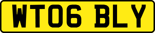 WT06BLY