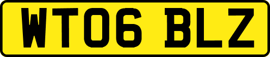 WT06BLZ