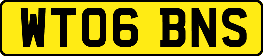 WT06BNS