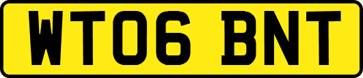 WT06BNT