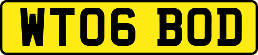 WT06BOD