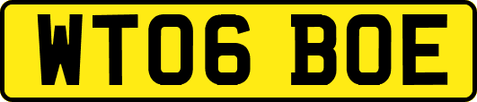 WT06BOE