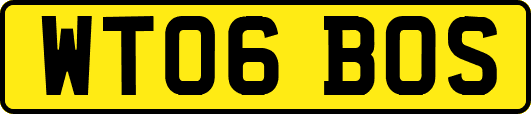WT06BOS