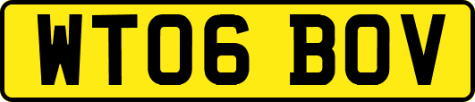 WT06BOV