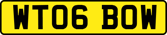 WT06BOW