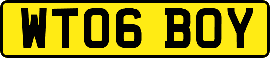 WT06BOY