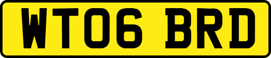 WT06BRD