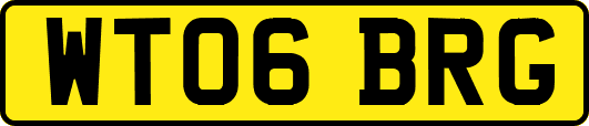 WT06BRG