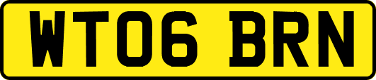WT06BRN