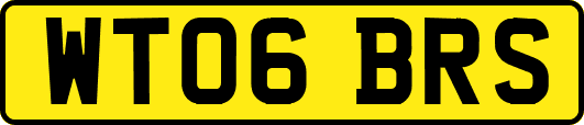 WT06BRS