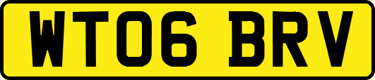 WT06BRV