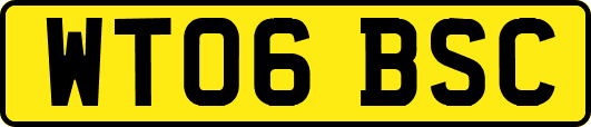 WT06BSC