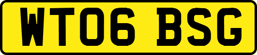 WT06BSG