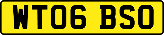 WT06BSO
