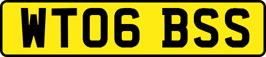 WT06BSS