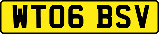 WT06BSV