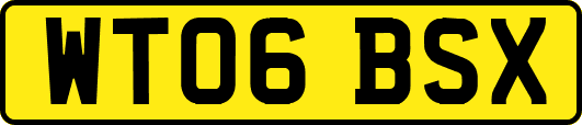 WT06BSX