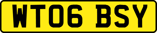 WT06BSY