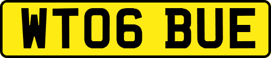 WT06BUE