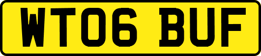 WT06BUF