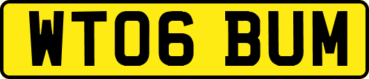 WT06BUM