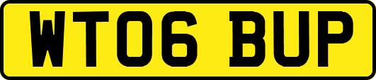 WT06BUP