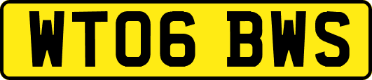 WT06BWS