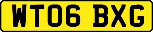 WT06BXG