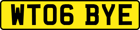 WT06BYE
