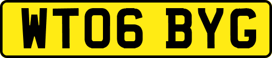 WT06BYG