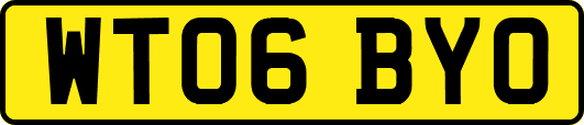 WT06BYO