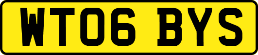 WT06BYS