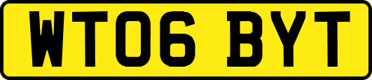 WT06BYT