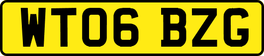 WT06BZG