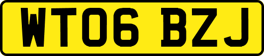 WT06BZJ
