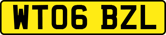 WT06BZL