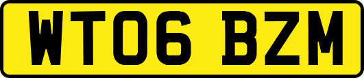 WT06BZM