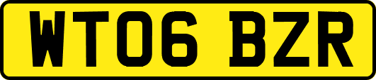 WT06BZR
