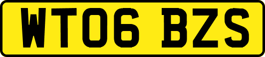 WT06BZS