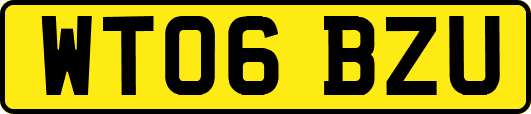 WT06BZU