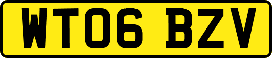 WT06BZV